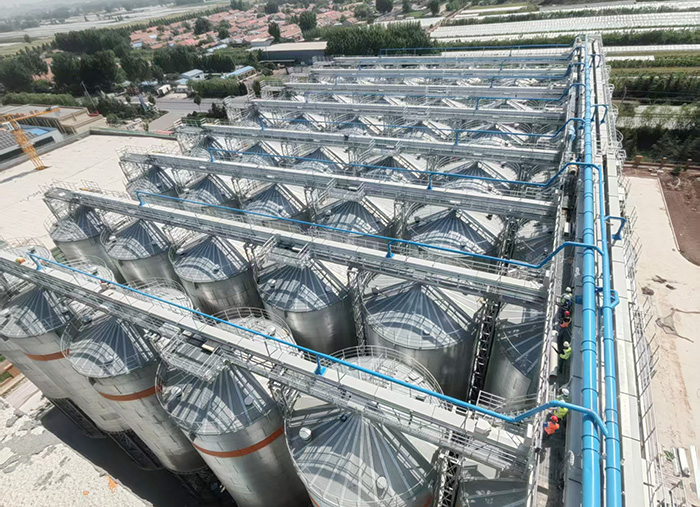 中糧糧谷濰坊新建 90萬噸/年小麥加工項目輸送設備